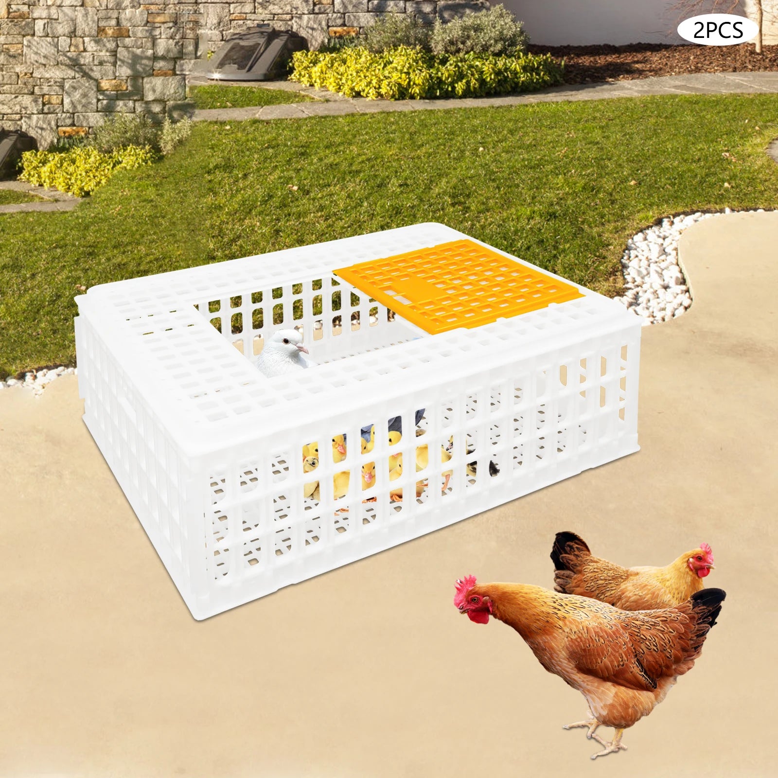 Jaula Plástica de Transporte para Pollos 2 uds