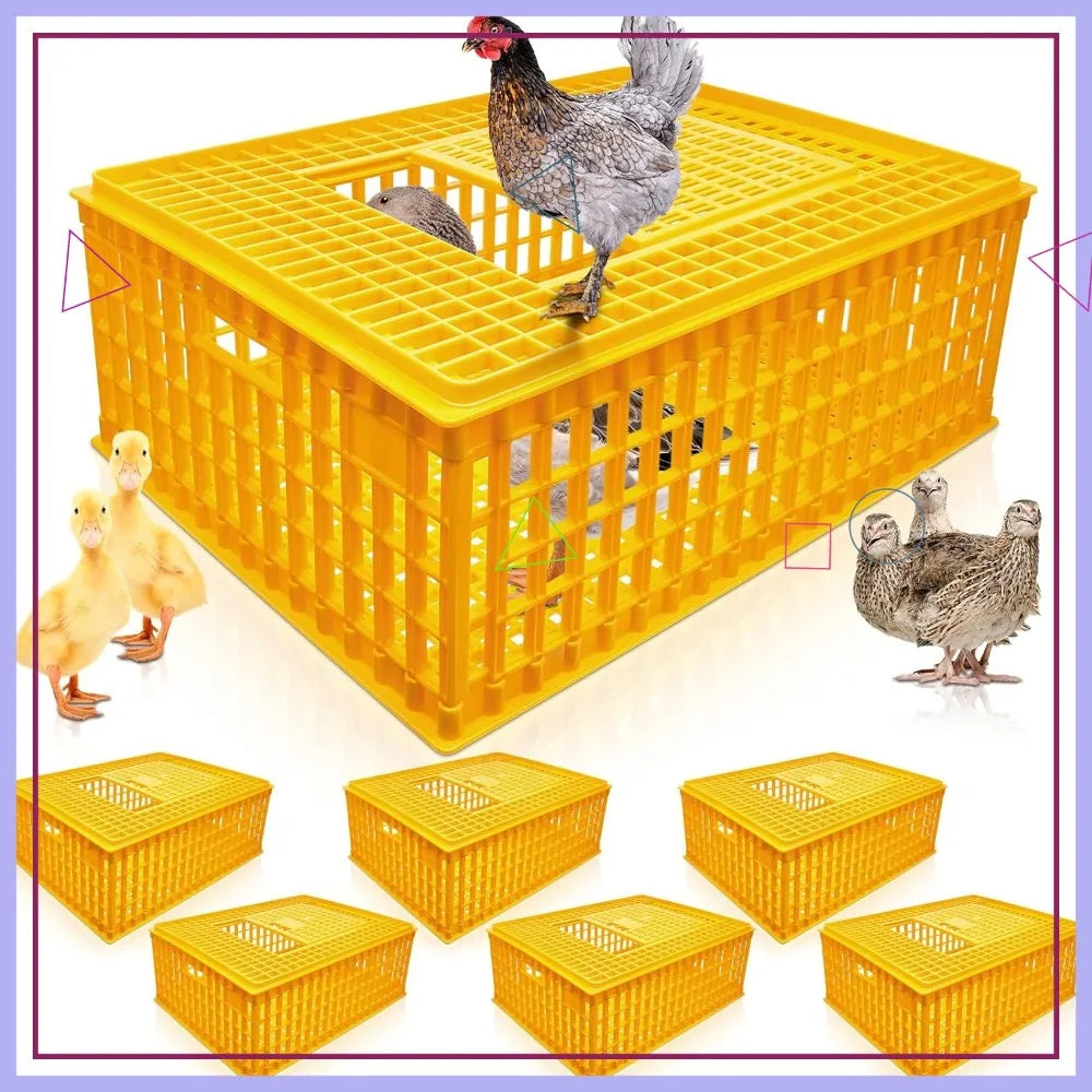 Jaula de Transporte para Pollos – Pack 2