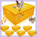 Jaula de Transporte para Pollos – Pack 2