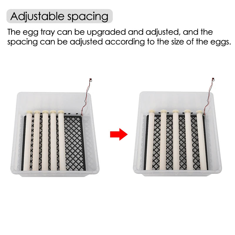 16 Eggs Farm Poultry Fully Automatic Turning Egg Incubator Dual-Electric Mini Household Brooder for Chicken Goose Duck Birds