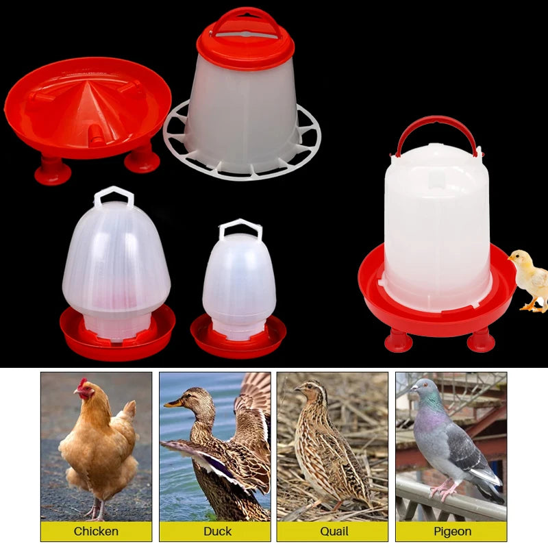 Cubo Bebedero Automático para Pollos y Aves