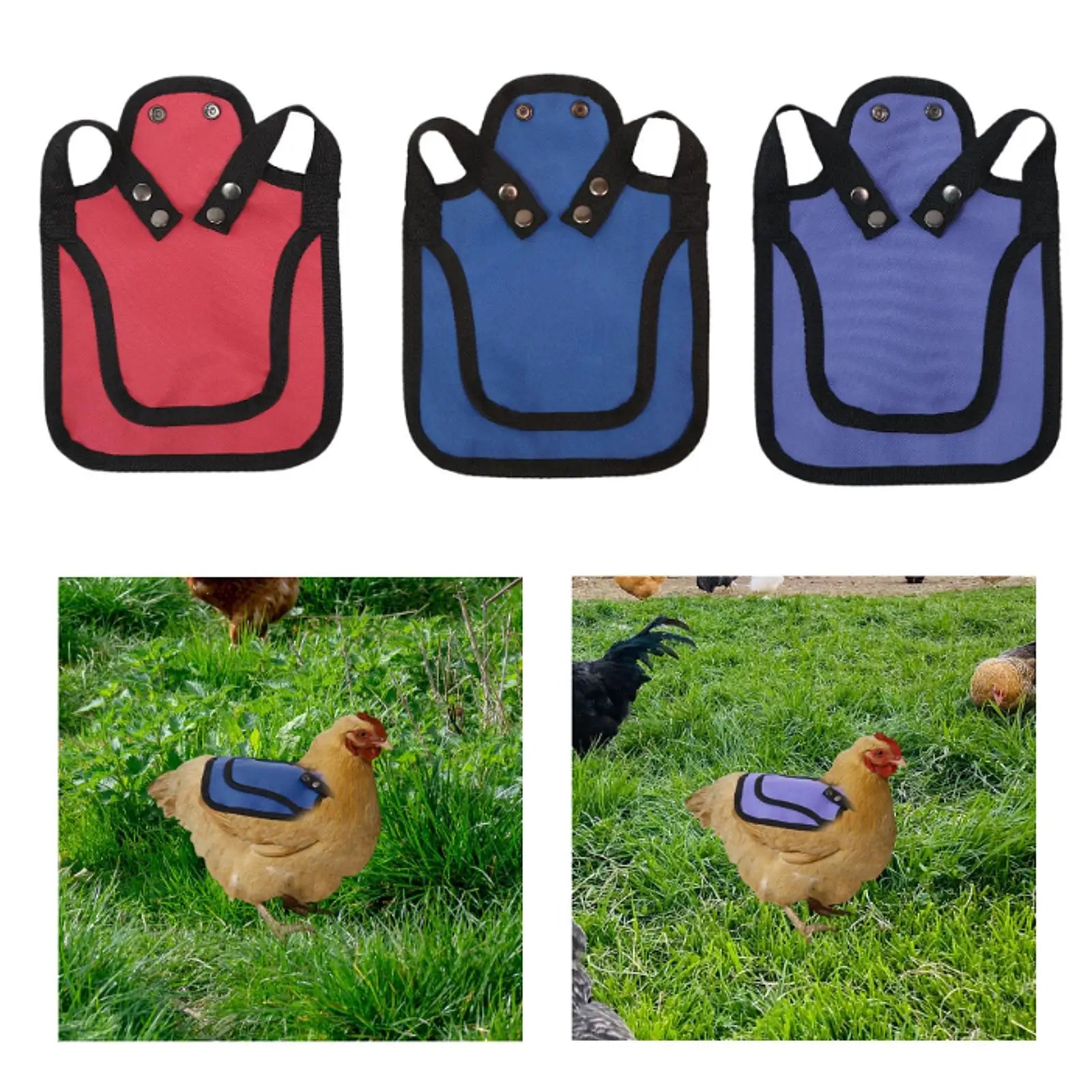 Protector de Plumas para Gallinas – Chaleco de Tela Oxford