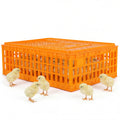 Jaula de Transporte de Plástico para Pollos