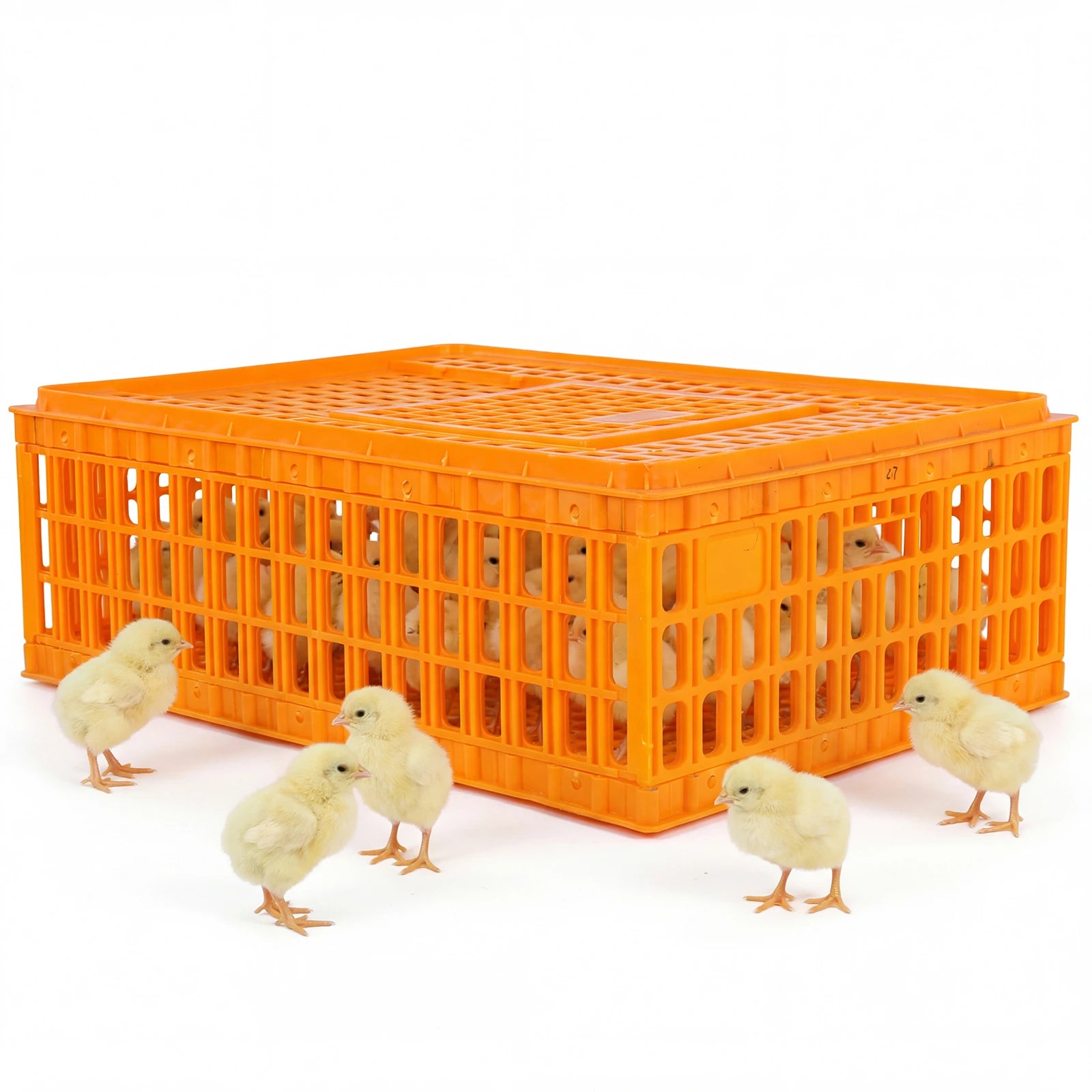 Jaula de Transporte de Plástico para Pollos