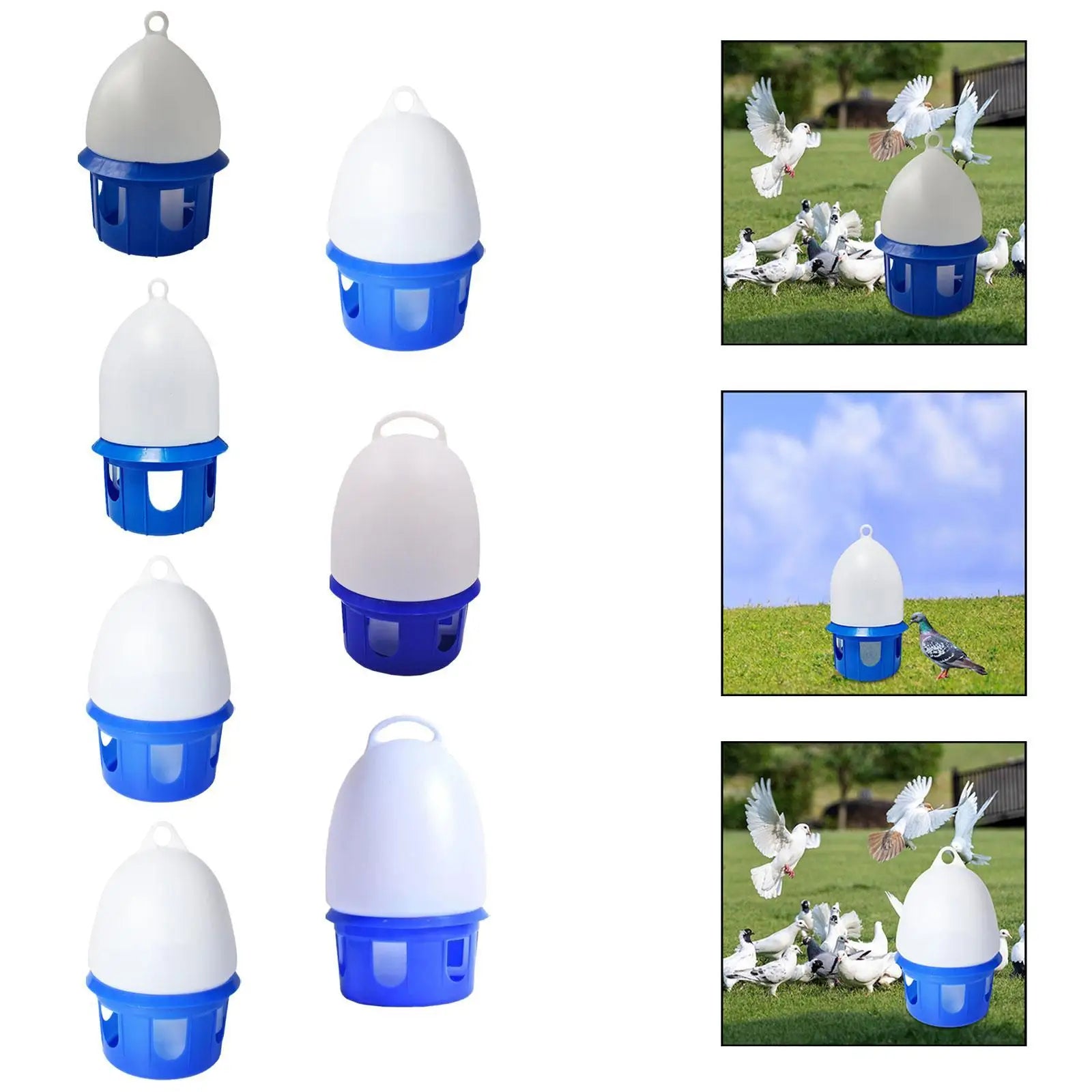 Bebedero Automático de Agua para Palomas y Aves