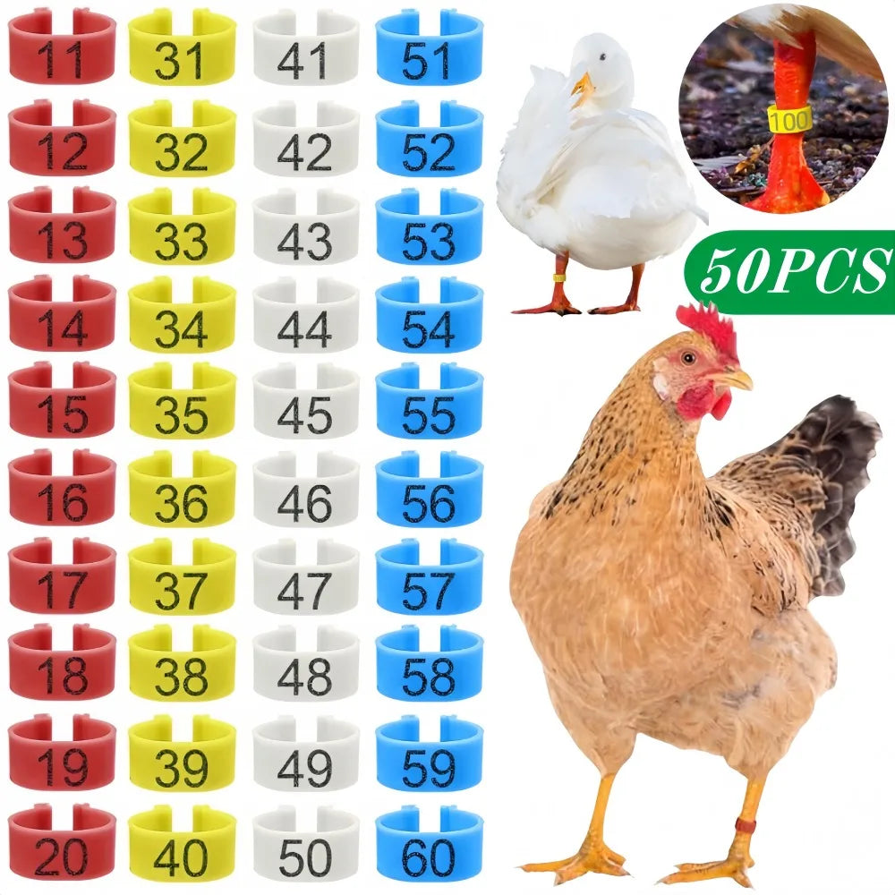 Anillos Numerados para Pies de Pollos y Aves de Corral