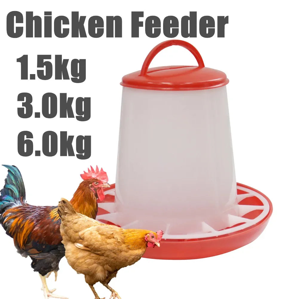 Cubo Comedero para Pollos 1.5-6 kg