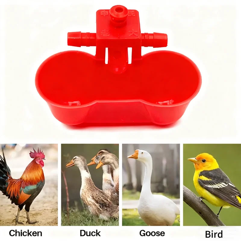 Bebedero Automático Doble para Gallinas 10/20 Pzs