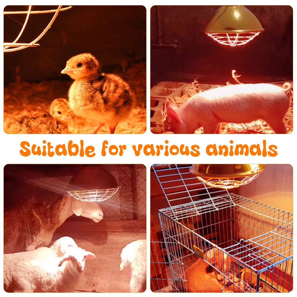 Lámpara de Calor Impermeable Ajustable para Gallinero