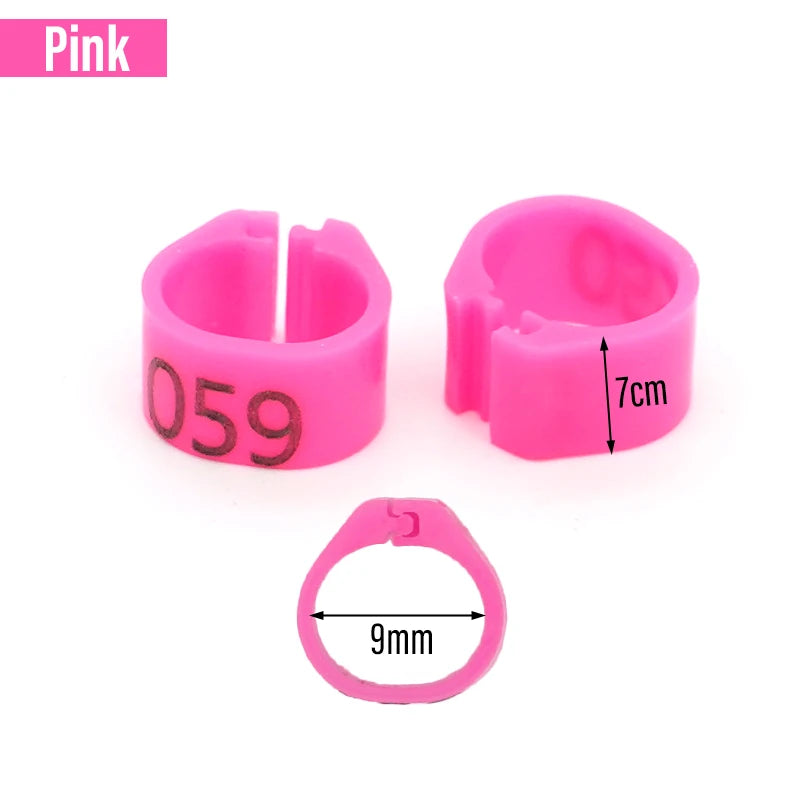 Anillos para Pies de Paloma y Aves de Corral – Pack 100