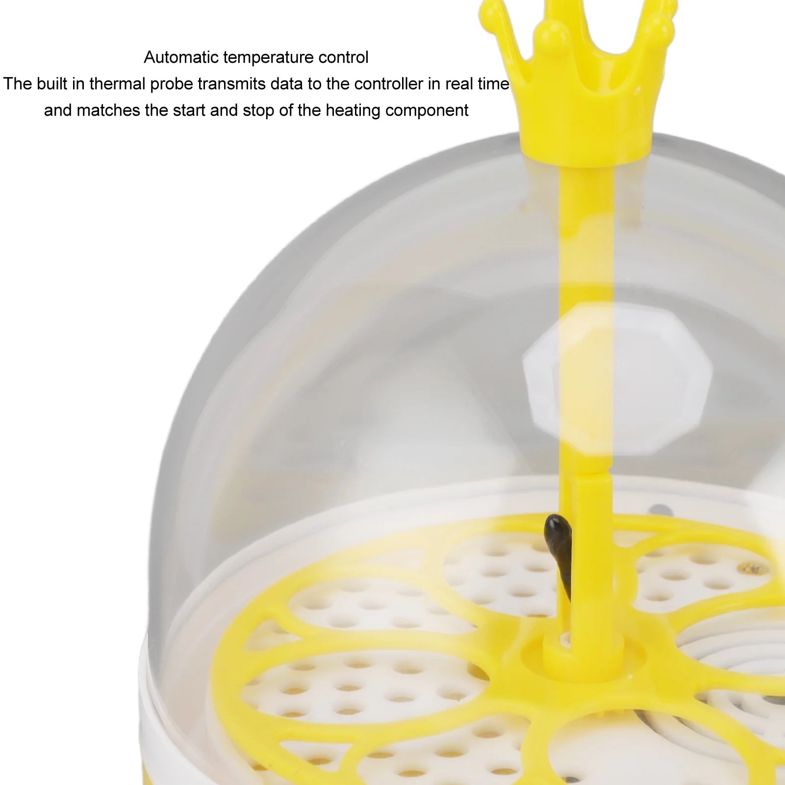 Mini Incubadora Automática 4 Huevos para Gallinas