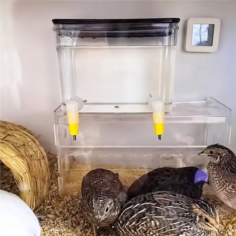Bebedero Automático 800ml con Doble Boquilla para Gallinas