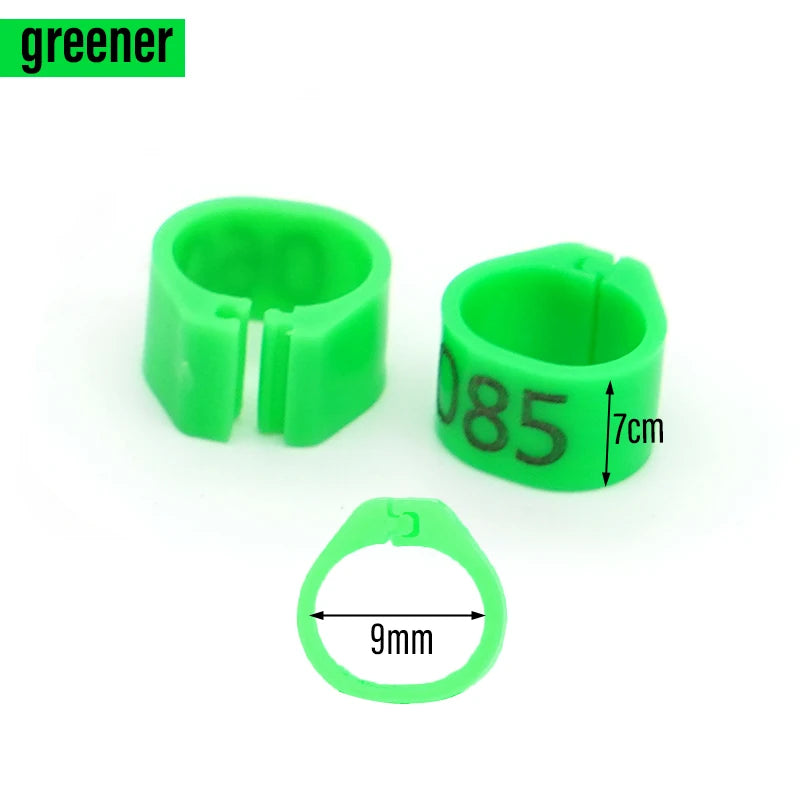 Anillos para Pies de Paloma y Aves de Corral – Pack 100
