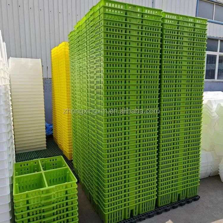 Jaula de Transporte de Plástico para Pollitos