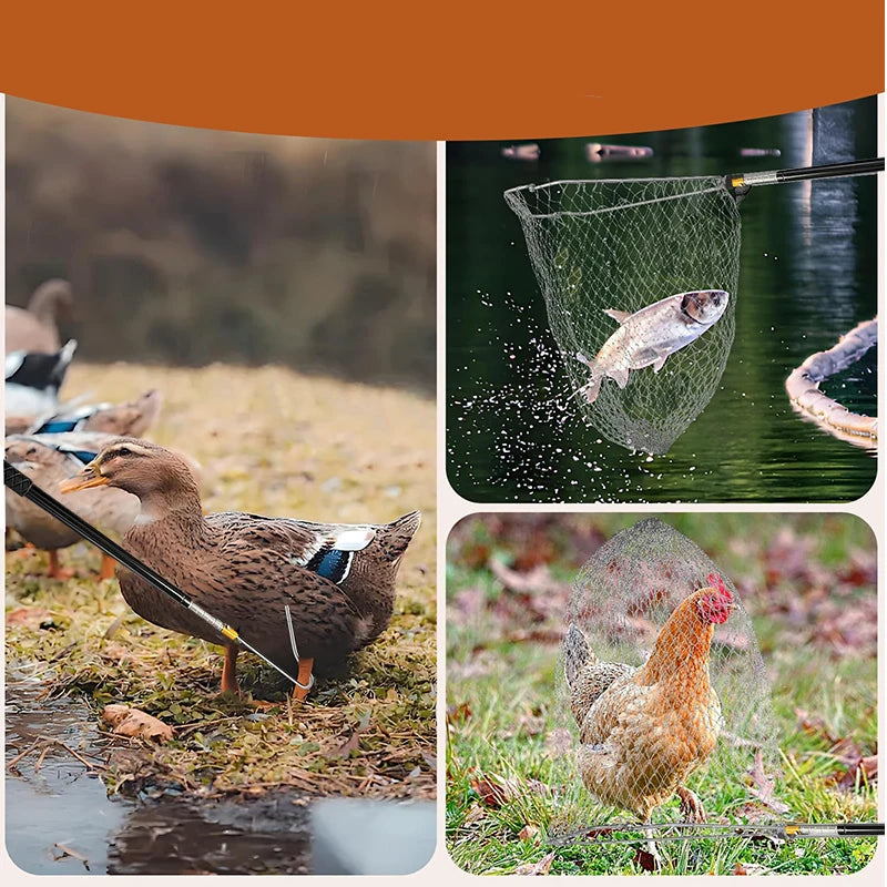 Kit de Captura de Pollos – Red y Gancho Telescópico