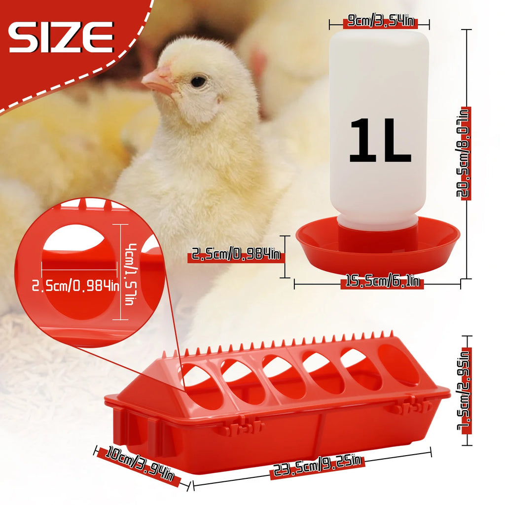 Comedero Lineal y Bebedero 1L Automático para Gallinas