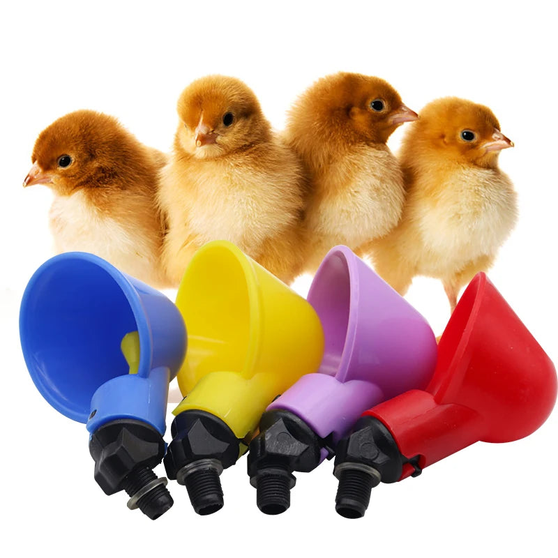 Tazas de Agua Automáticas para Pollos y Codornices