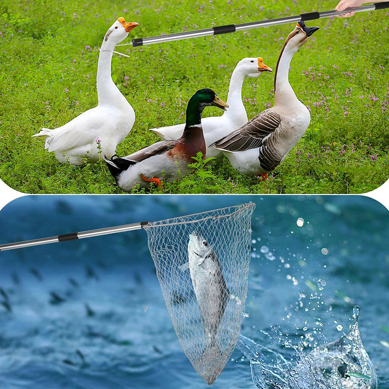 Kit de Captura de Pollos – Red y Gancho Telescópico