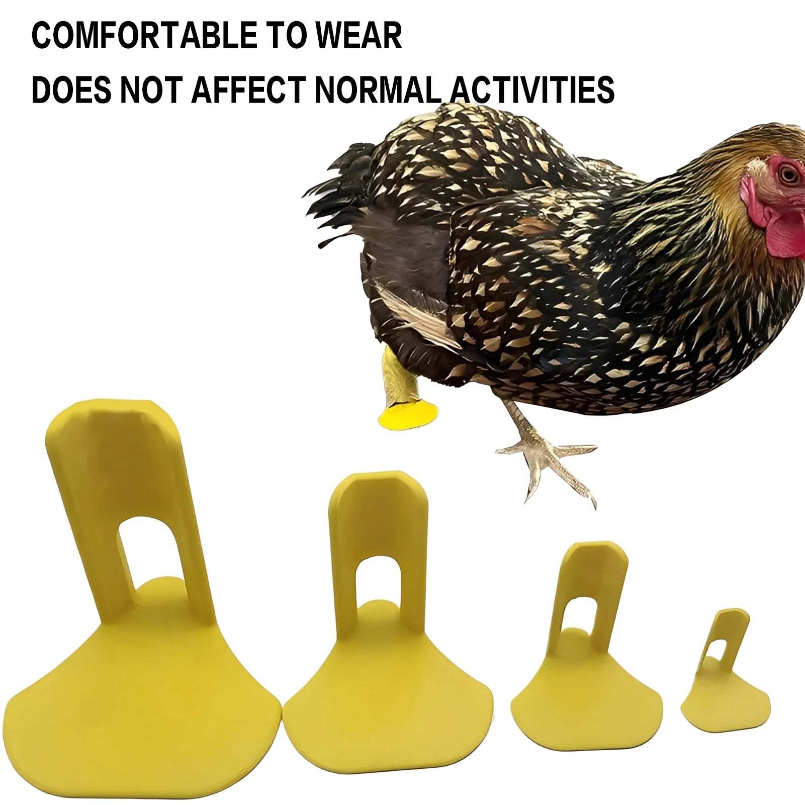 Férulas para Pollo y Aves de Corral – Pack 4
