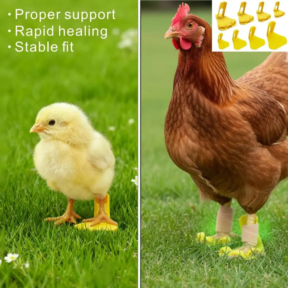 Férulas Ajustables para Patas de Pollo y Pato – Pack 4