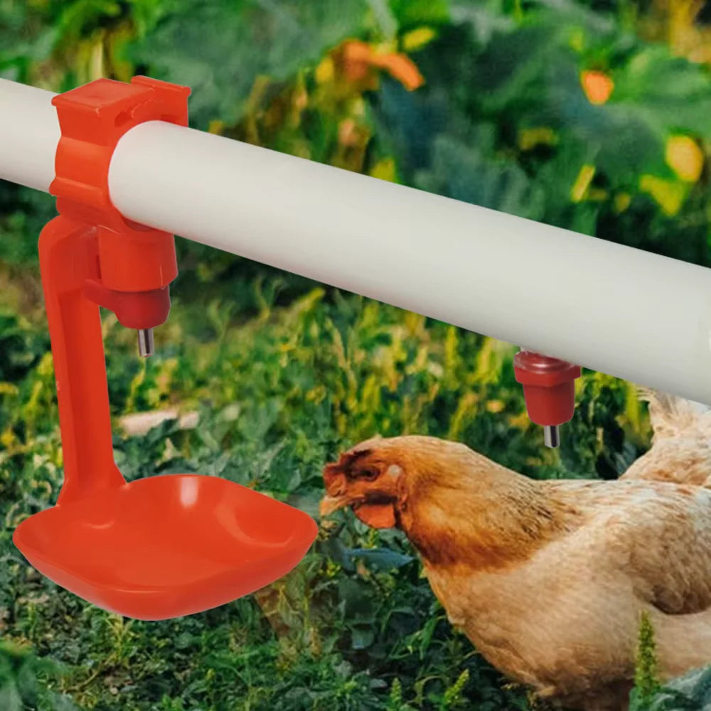 Bebedero Automático con Copa y Válvula 360° para Gallinas