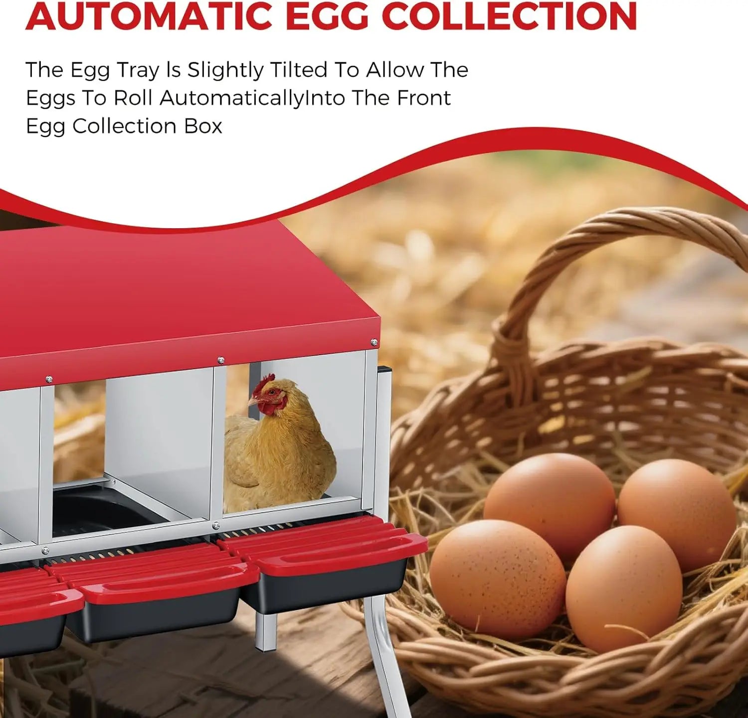 Caja Nido Metálica para Gallinas con Recolección Automática de Huevos