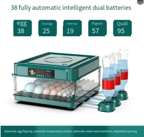 Incubadora Automática 12–38 Huevos con Volteo y LED