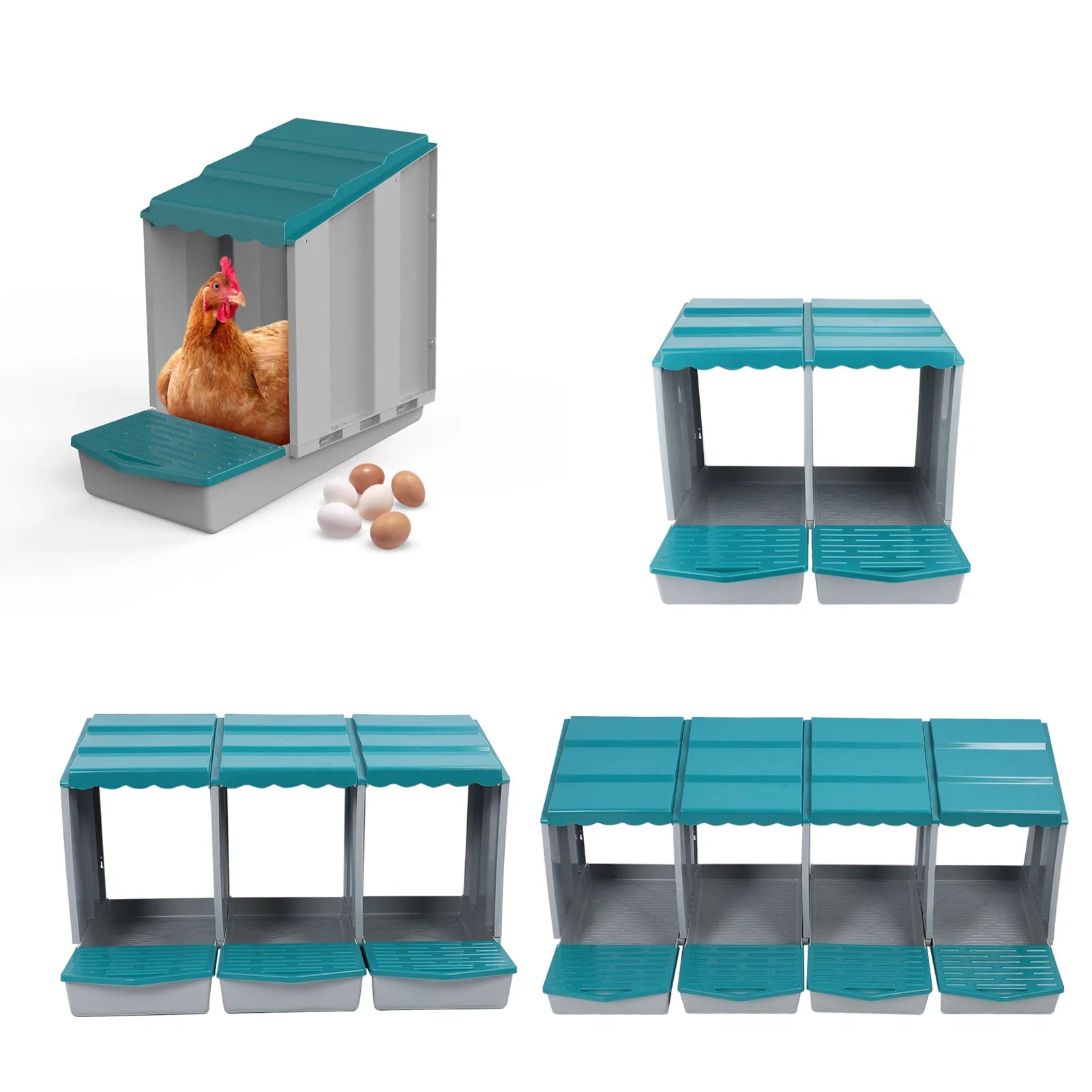 Caja de Anidación de Pollo PP