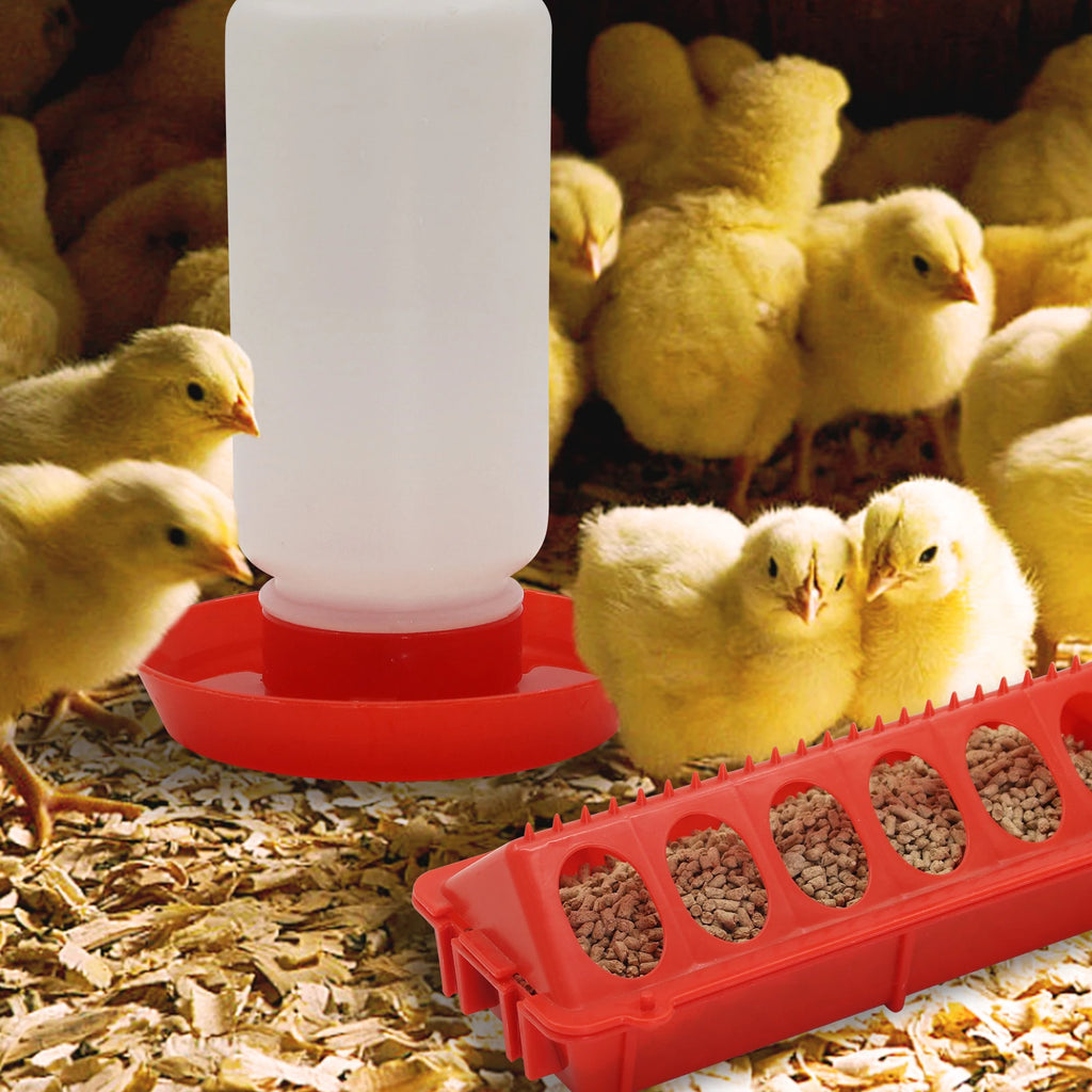 Chicken Feeder Automatic Water Feeder For Chicks Quails Chicks Feed Box Automatic Feeder Small Automatic Water Dispenser