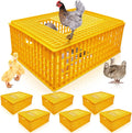 Jaula de Transporte de Plástico para Pollos – Pack 2