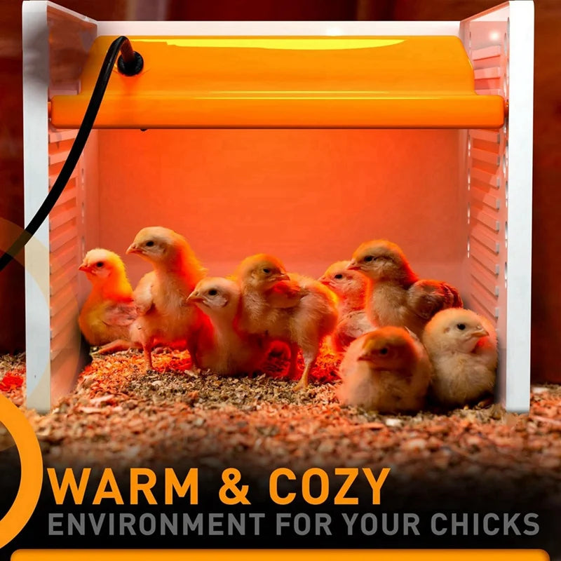 Placa Calefactora para Pollitos con Control Digital 50-149°F