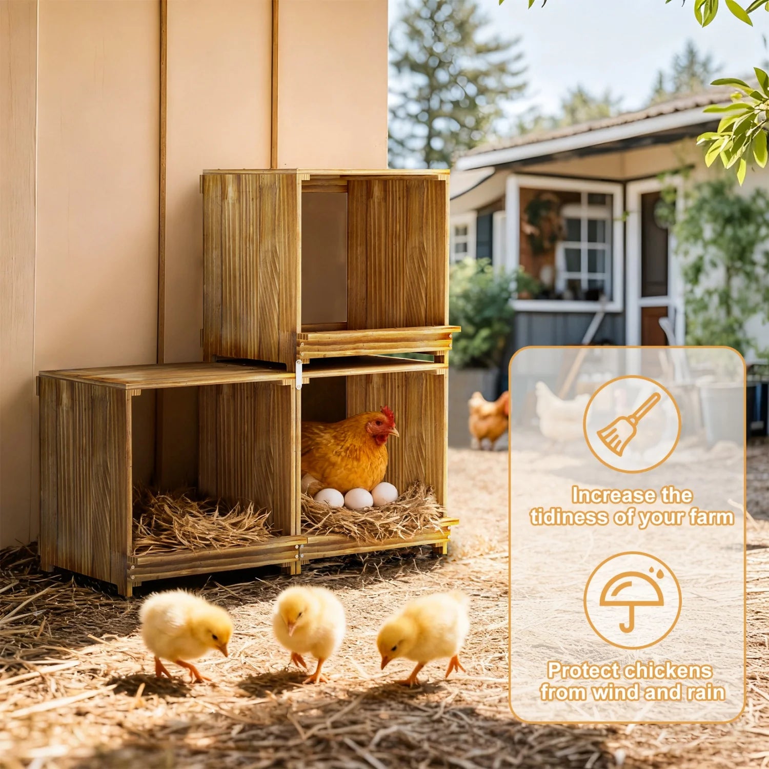 Caja Anidadora de Madera con 3 Compartimentos para Gallinas