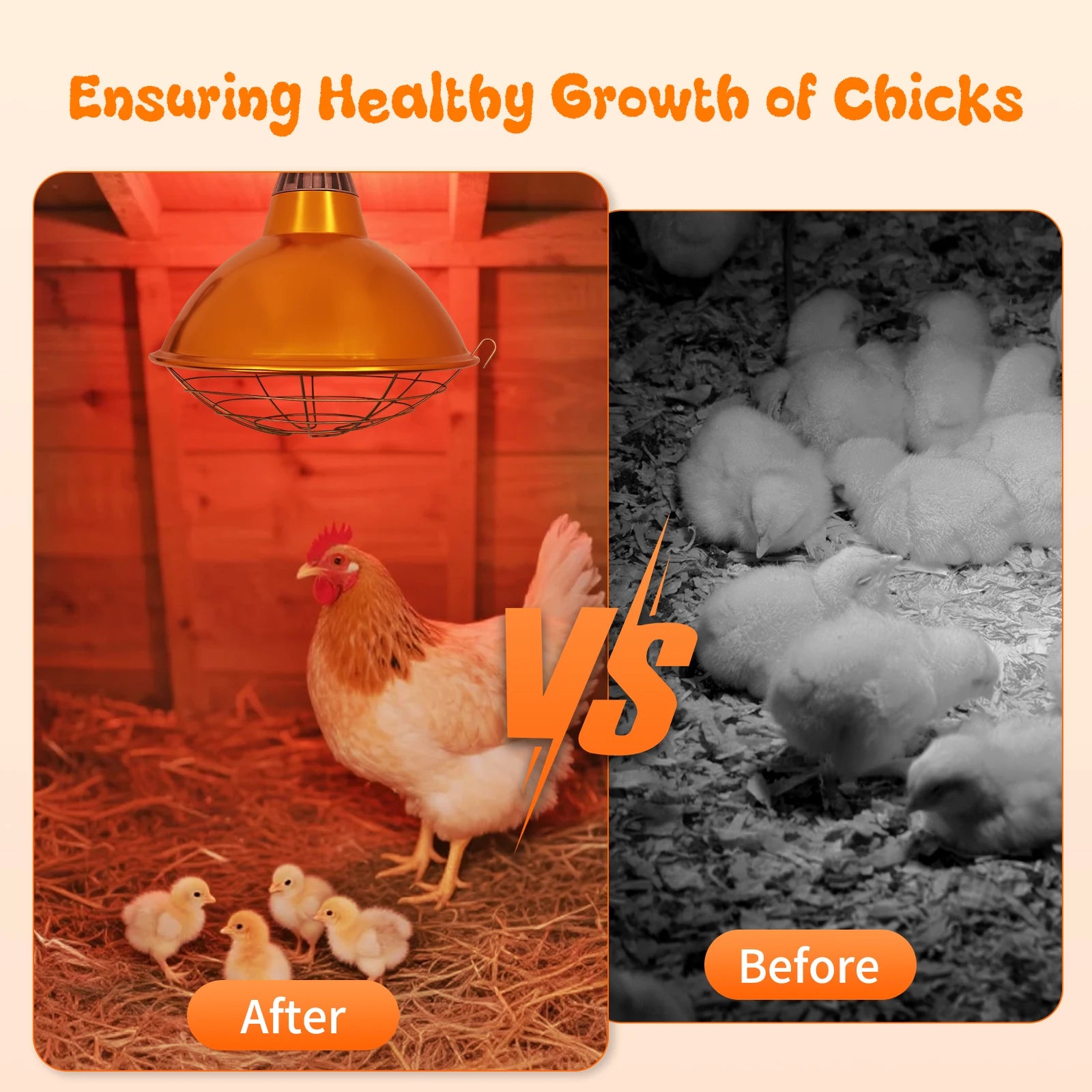 Lámpara de Calor Impermeable Ajustable para Gallinero