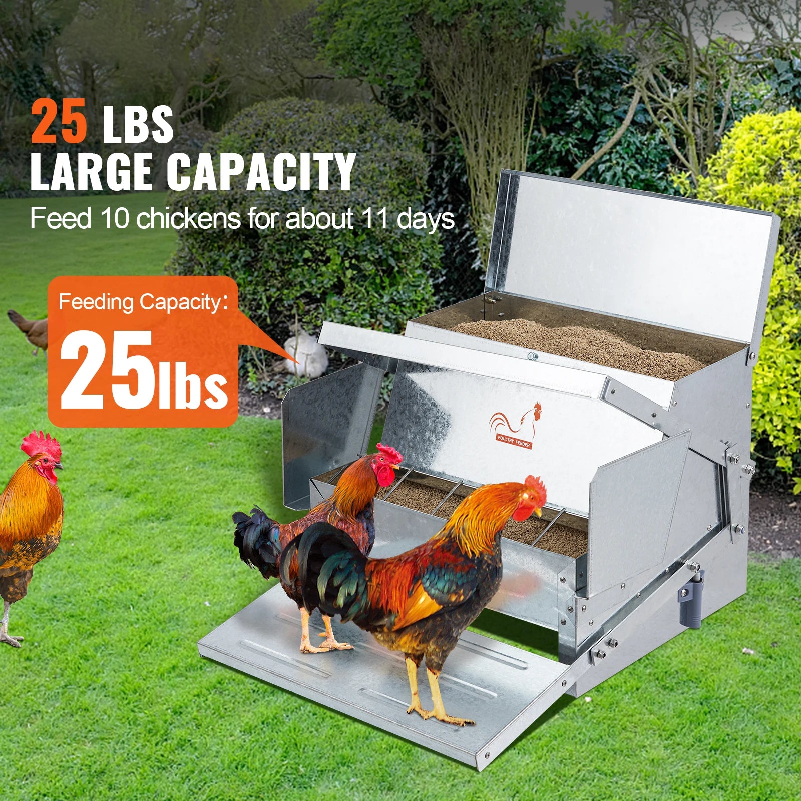 Comedero Automático 25 lb para Gallinas