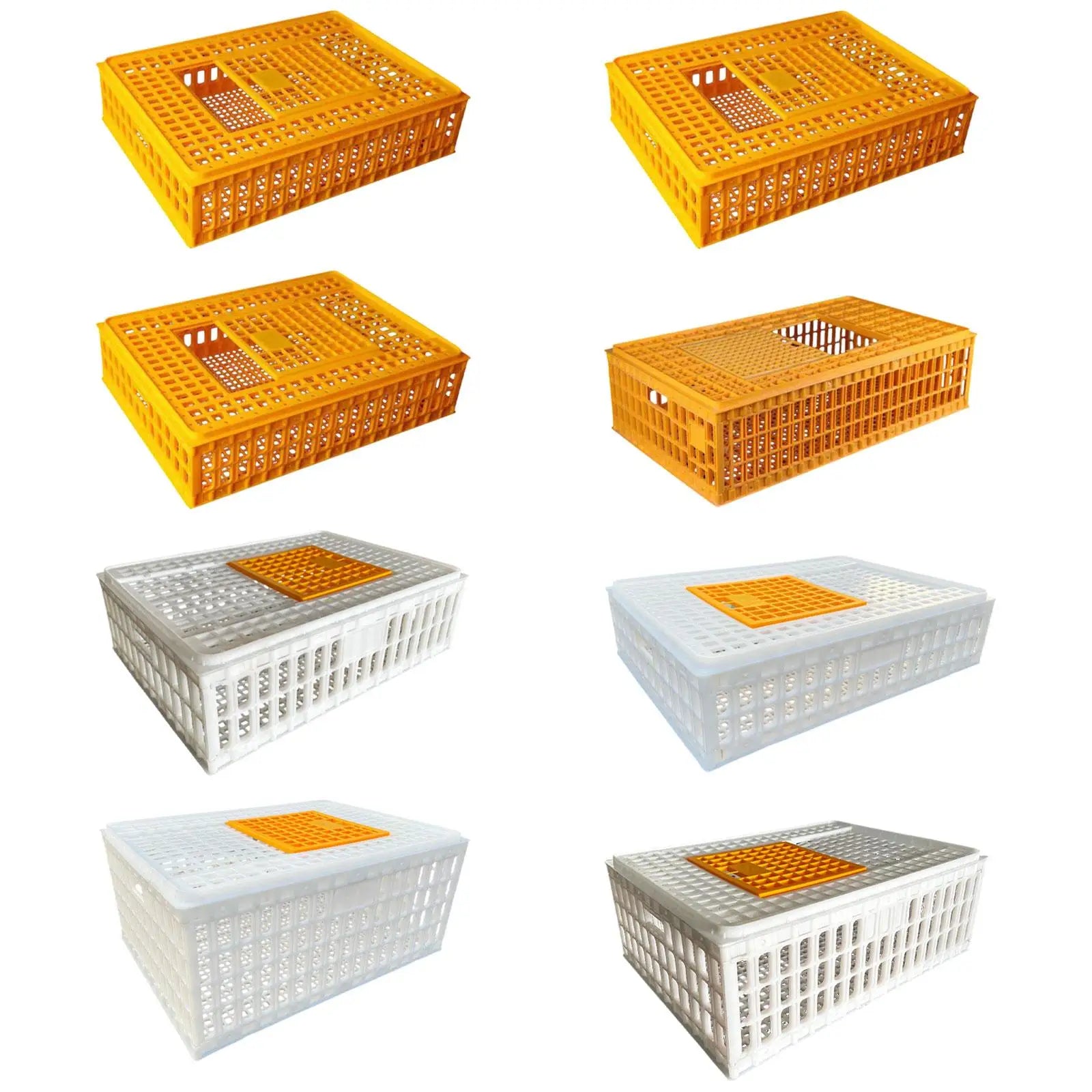 Jaula de Transporte de Pollos de Plástico – Alta Capacidad