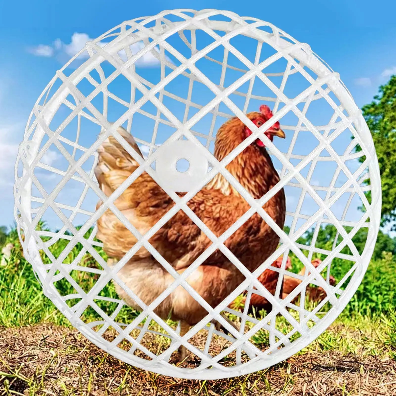 Jaula Móvil de Plástico para Pollos Exteriores 3 Piezas