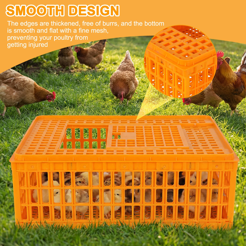 Jaula de Transporte para Pollos – Pack 6 Apilable