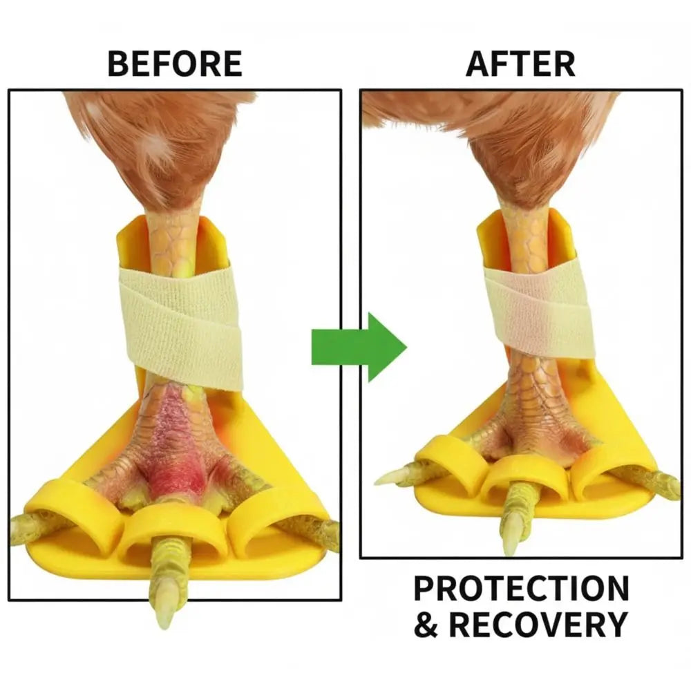 Férulas Ajustables para Patas de Pollo y Pato – Pack 4
