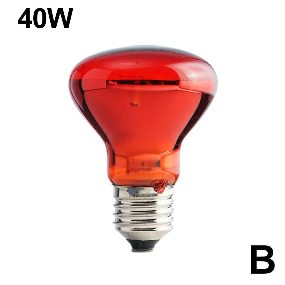 Bombilla calefactora para aves de corral E27, 25W-100W, aislamiento infrarrojo, calefacción para reptiles, plantas, anfibios, mascotas, herramientas de lámpara para ganado