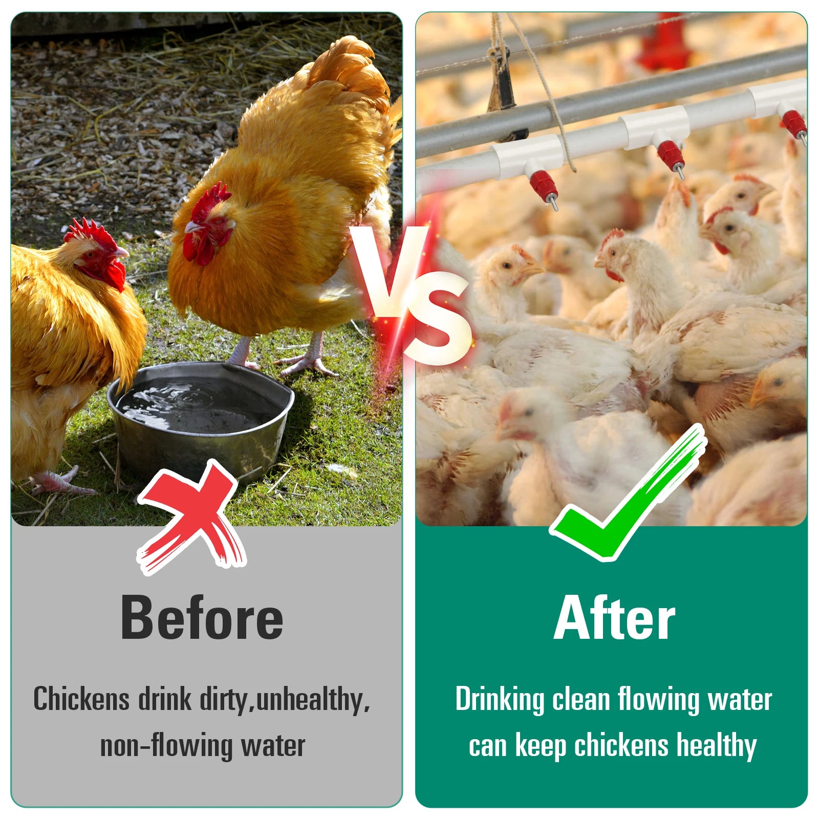 Kit Bebederos Automáticos con Niples PVC para Gallinas