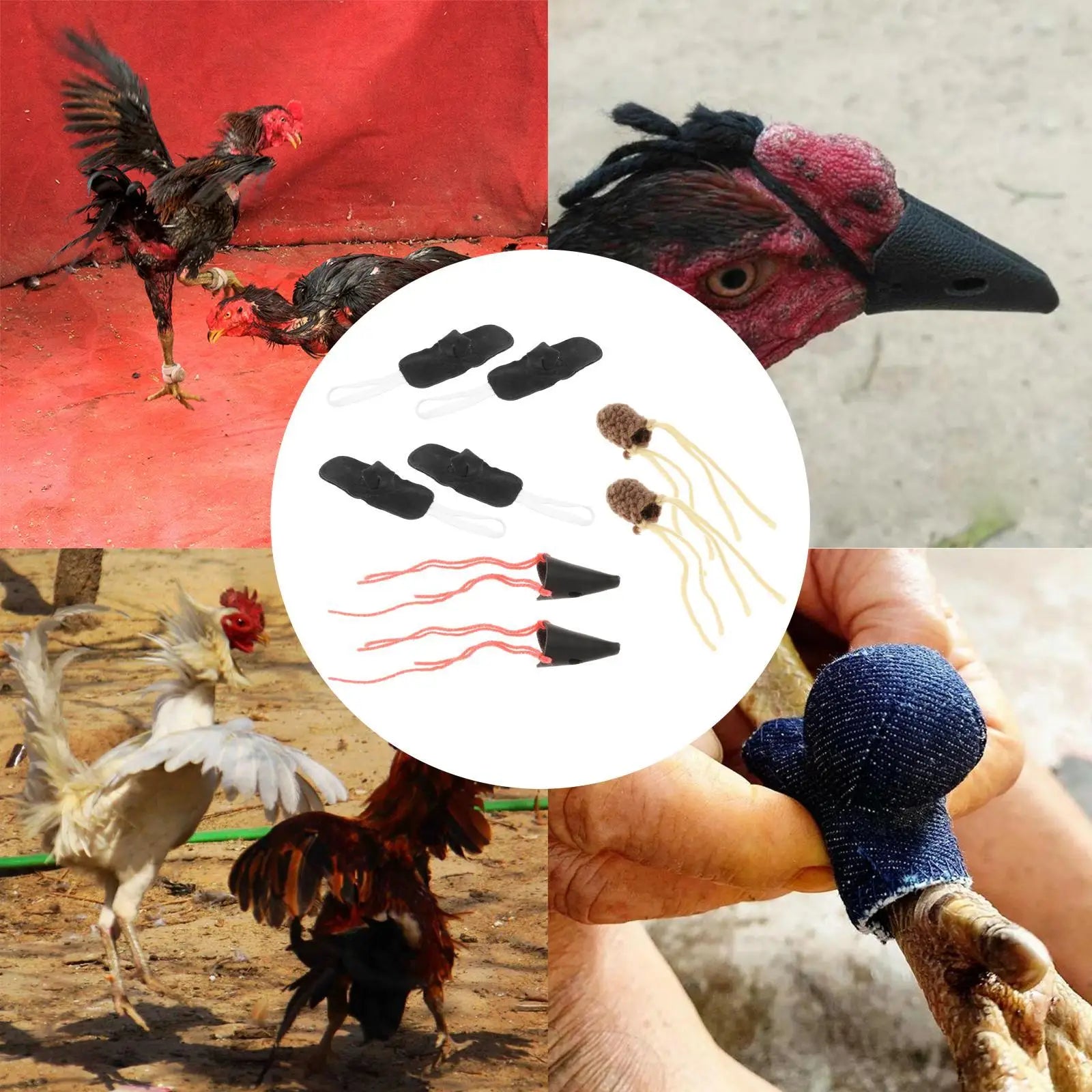 Protectores de Espolón para Gallinas 4 Piezas