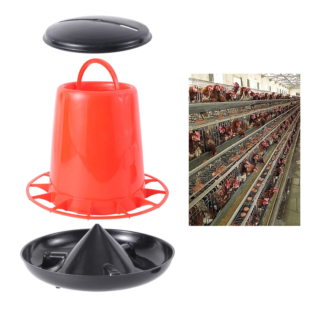 Cubo Comedero Automático para Pollos