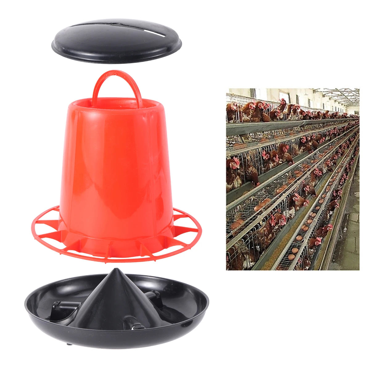 Cubo Comedero Automático para Pollos