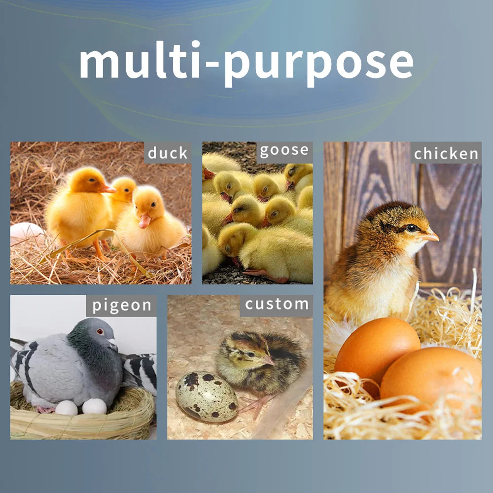 Controlador Inteligente HT-12 Temperatura y Humedad para Incubadora