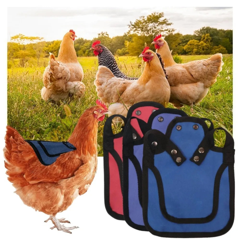 Sillín Protector Ajustable para Gallinas Chaqueta Plumas