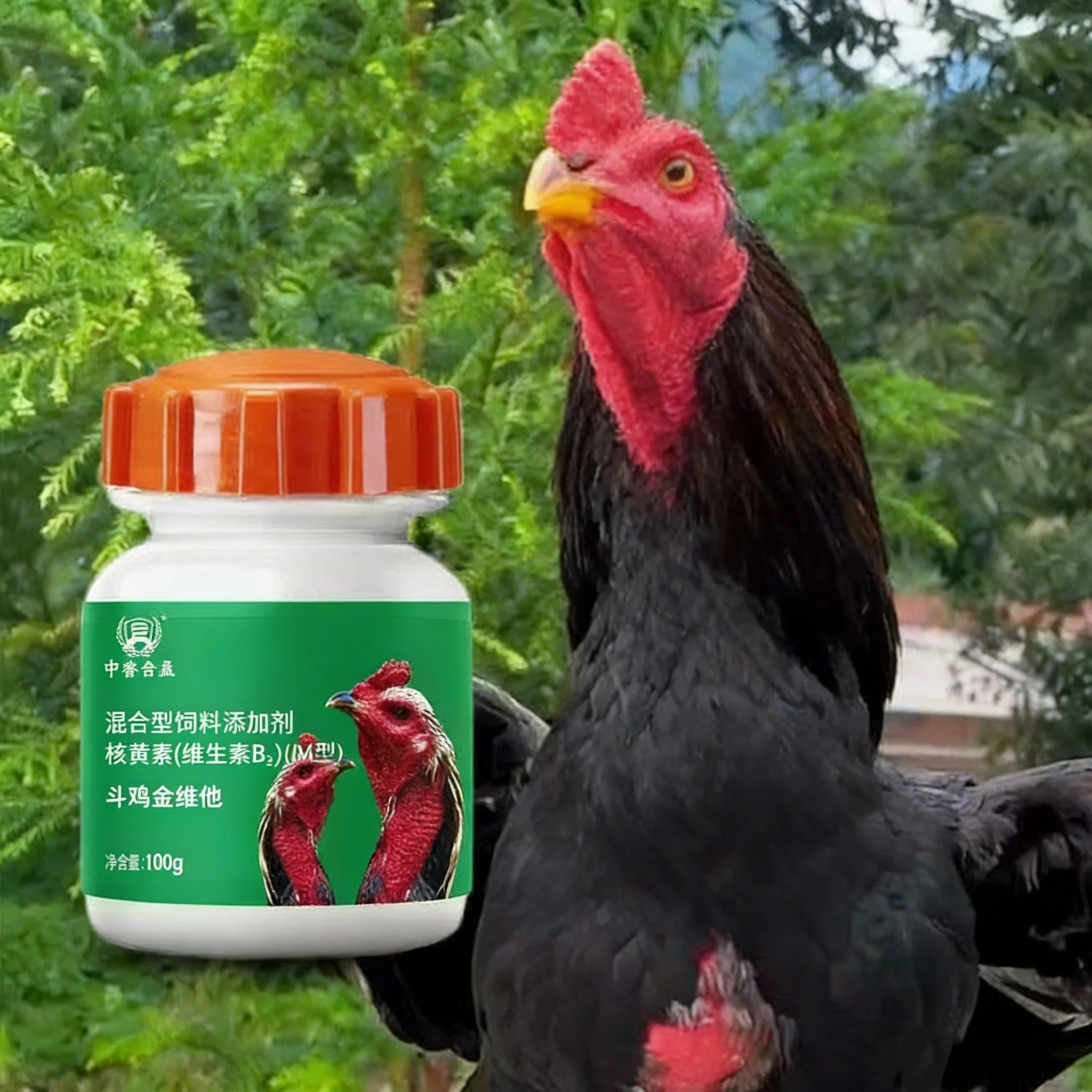 Multivitamínico 100g para Gallos de Pelea con 13 Vitaminas