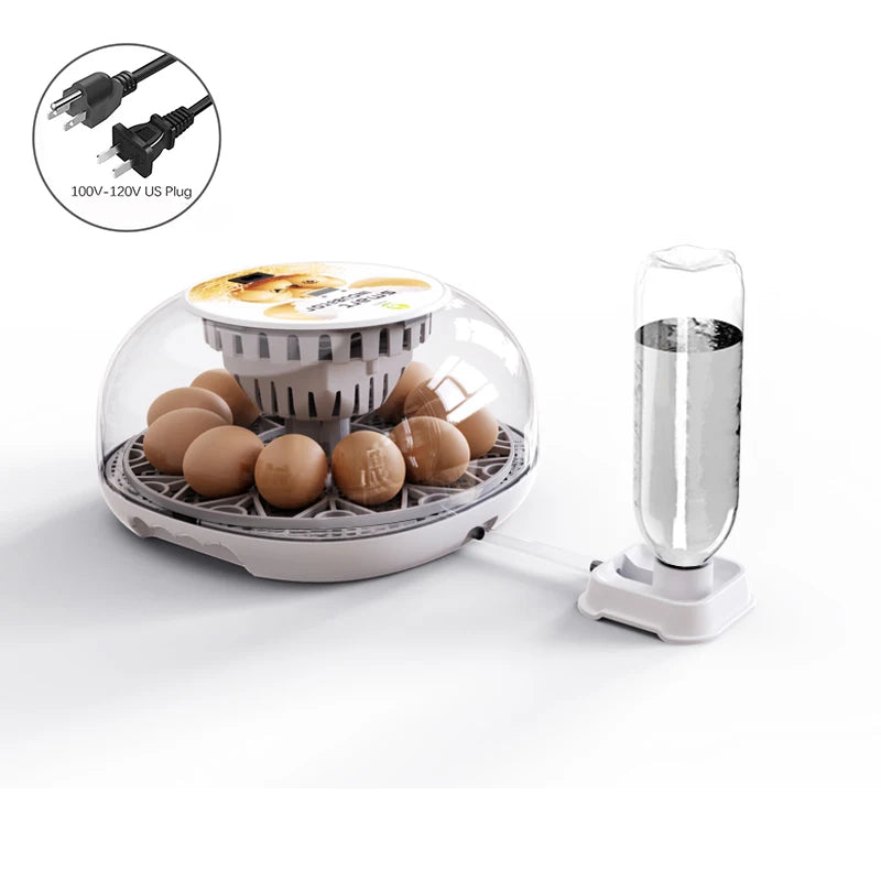 Incubadora de huevos de ganso y pollo pequeño para el hogar, agregue automáticamente el agua, Control inteligente de temperatura, 12 incubadoras