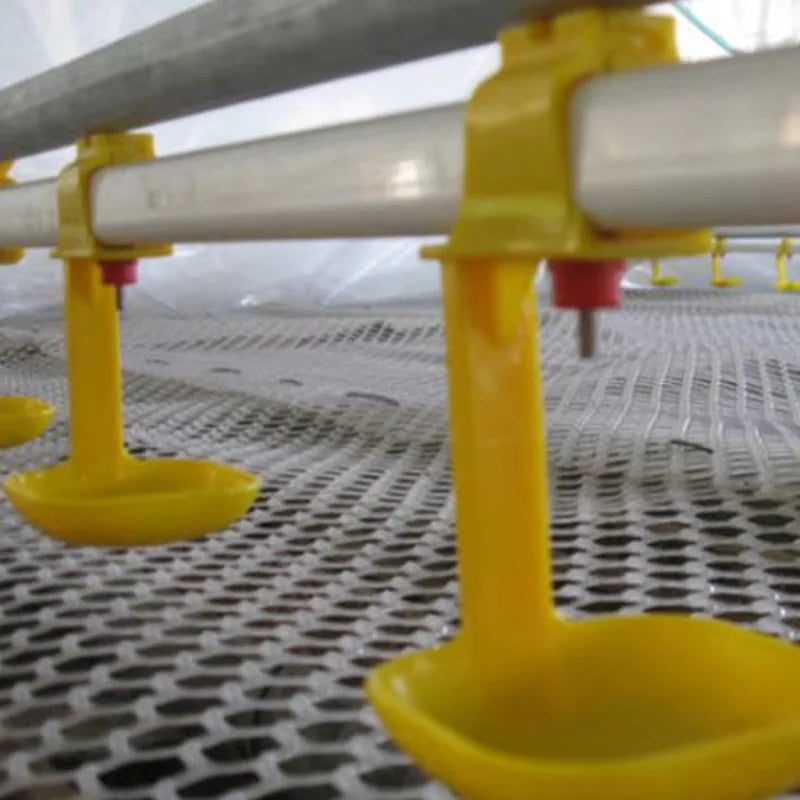 Tazas Automáticas Colgantes para Beber Agua de Pollo 5/10 Uds