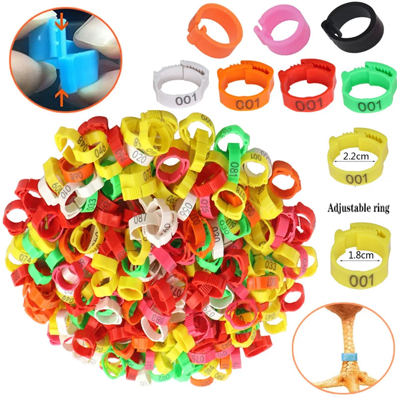 Anillos para patas de pollo, cierre de etiqueta de plástico ajustable para patas de aves de corral, Clip de trinquete Digital, herramienta de alimentación para granja de patos, palomas y gansos, 25/100