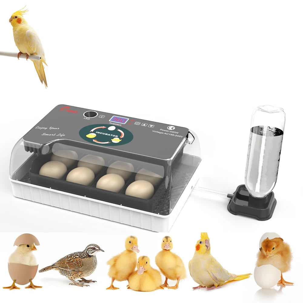 12 incubadoras de huevos de pollo, pato y pájaro completamente automáticas, incubadora inteligente de temperatura constante con giro automático de huevos